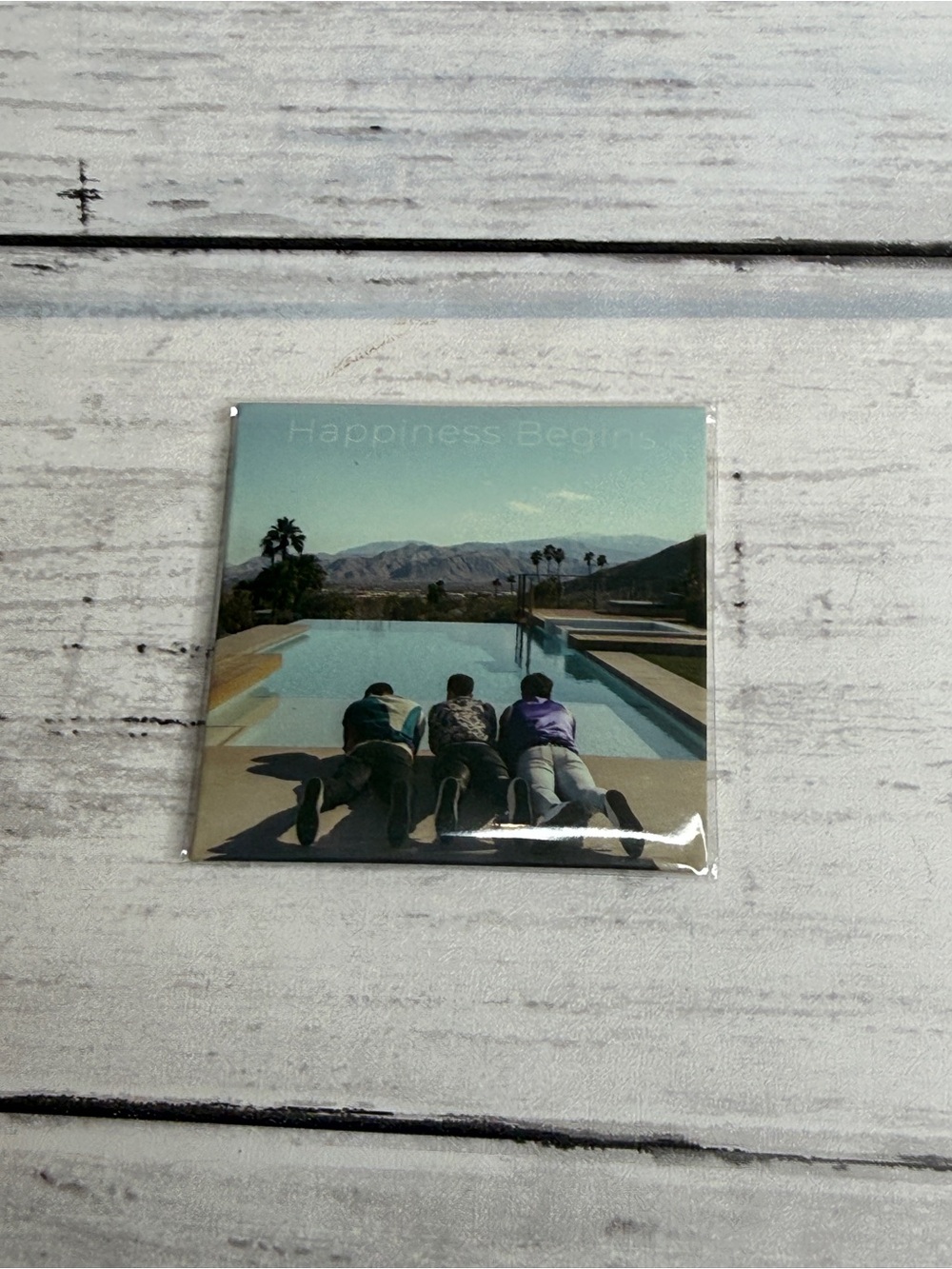 Sucker (Jonas Brothers) mini brands real vinyl